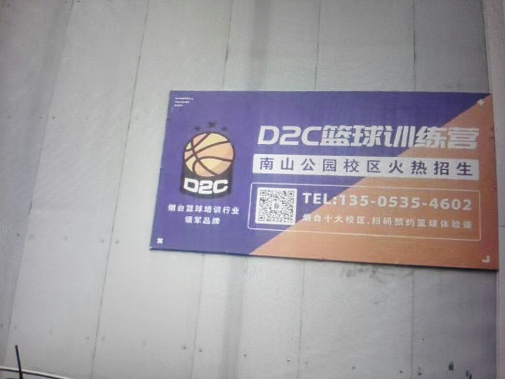 篮球训练营营业执照图片